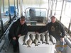 (03/15/2018) - Nice Striped Bass